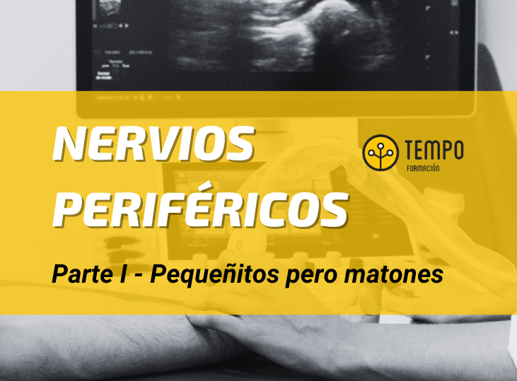 nervios-perifericos-y-ecografia-parte-i-pequenitos-pero-matones